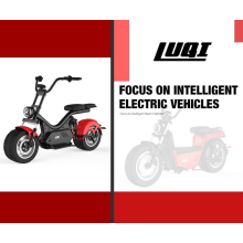 Electric Scooter with Removable Lithium Battery Motorcycle